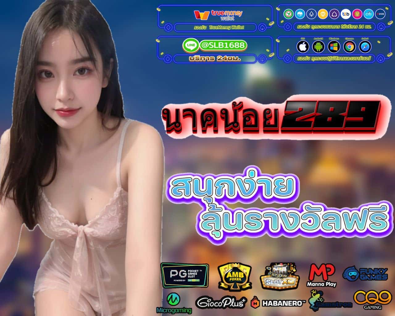 นาคน้อย289 ทางเข้า